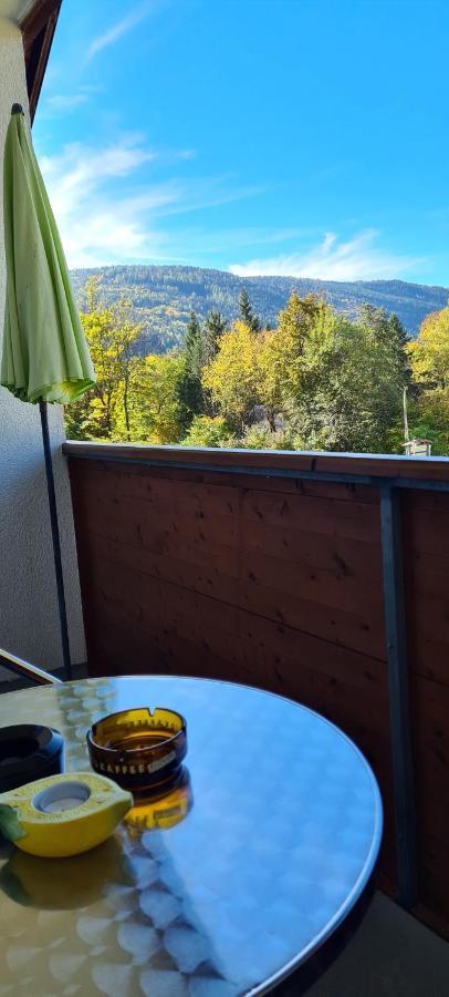 Ferienwohnung Edeltraud, Fusslaeufig Zum See Und 20 Minuten Vom Skigebiet Entfernt 多布里亚赫 外观 照片