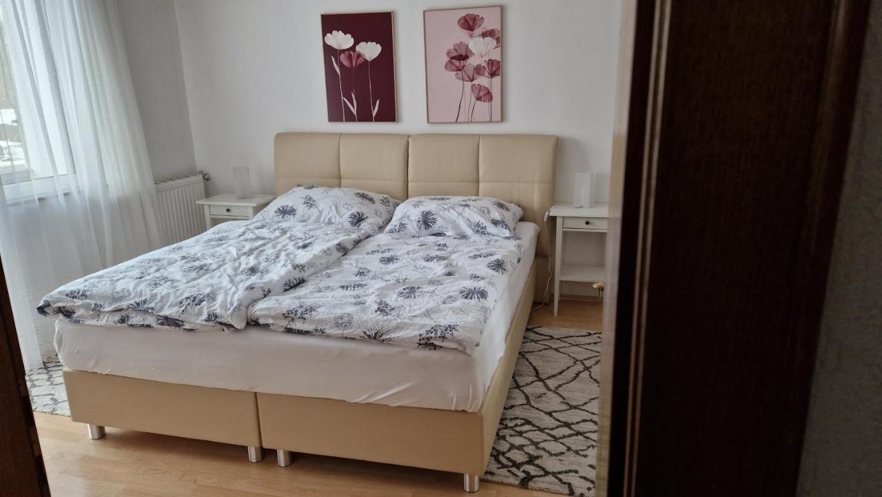 Ferienwohnung Edeltraud, Fusslaeufig Zum See Und 20 Minuten Vom Skigebiet Entfernt 多布里亚赫 外观 照片